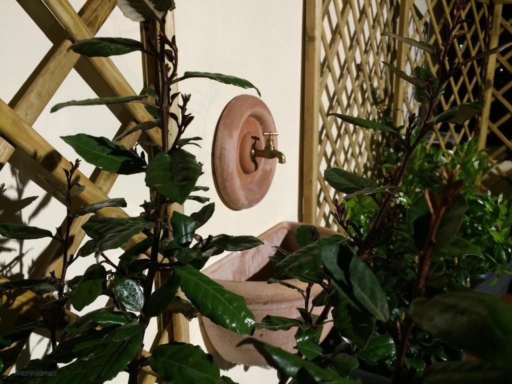 Bed and Breakfast Il Giardino Segreto Сорренто Екстер'єр фото