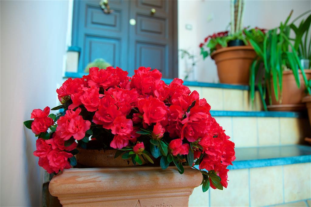 Bed and Breakfast Il Giardino Segreto Сорренто Екстер'єр фото