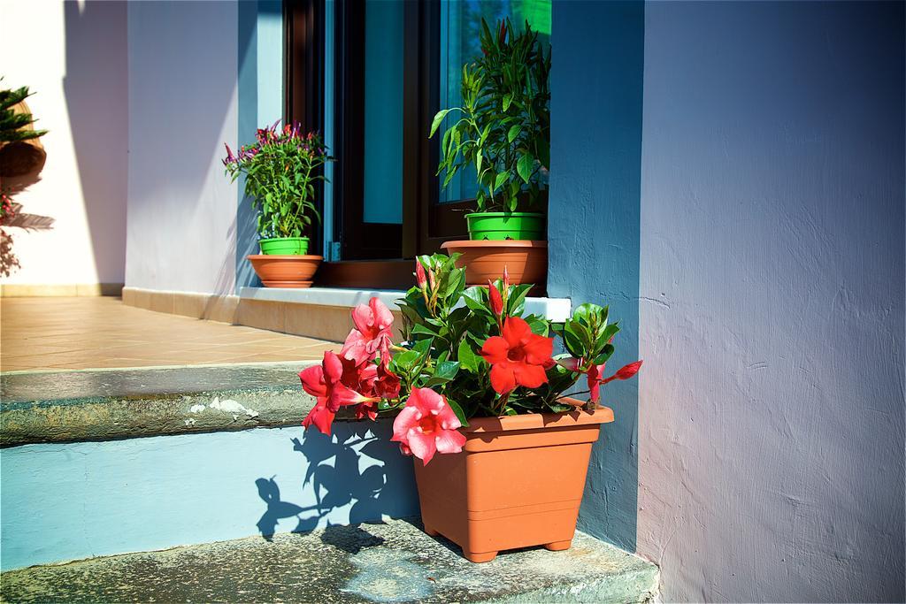 Bed and Breakfast Il Giardino Segreto Сорренто Екстер'єр фото