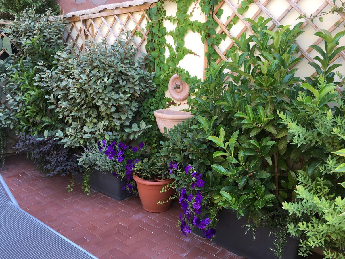 Bed and Breakfast Il Giardino Segreto Сорренто Екстер'єр фото